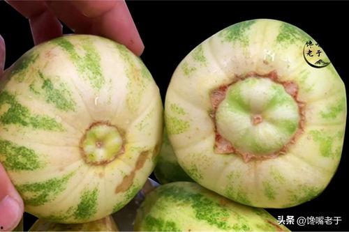 娱乐吃瓜怎么做,跟随吃瓜群众，探寻明星幕后故事