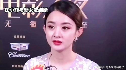 娱乐八卦吃瓜赵丽颖小说免费阅读