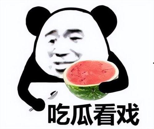 娱乐吃瓜君沙雕,揭秘娱乐圈那些沙雕趣事