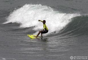 娱乐吃瓜冲浪社,揭秘娱乐圈幕后故事，带你畅游八卦海洋