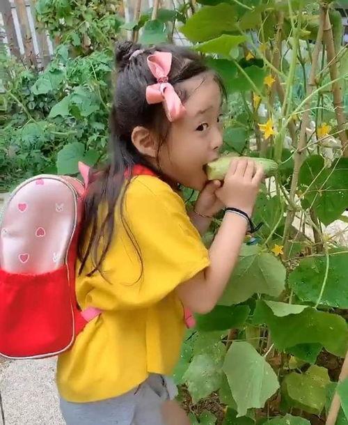 娱乐吃瓜少女妈妈视频,揭秘明星育儿日常